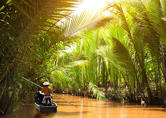ベトナムの風景：水に恵まれた地
